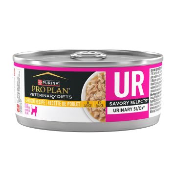 UR Savory Selects Urinary St/Ox Chicken Recipe in Sauce Wet Cat Food 