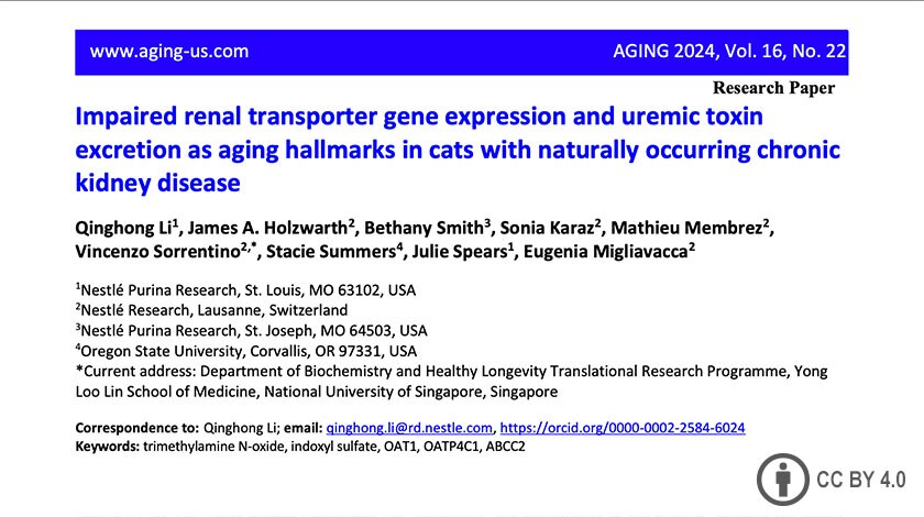 Impaired Renal Transporter Gene Expression and Uremic Toxin Excretion as Aging Hallmarks in Cats with Naturally Occurring Chronic Kidney Disease