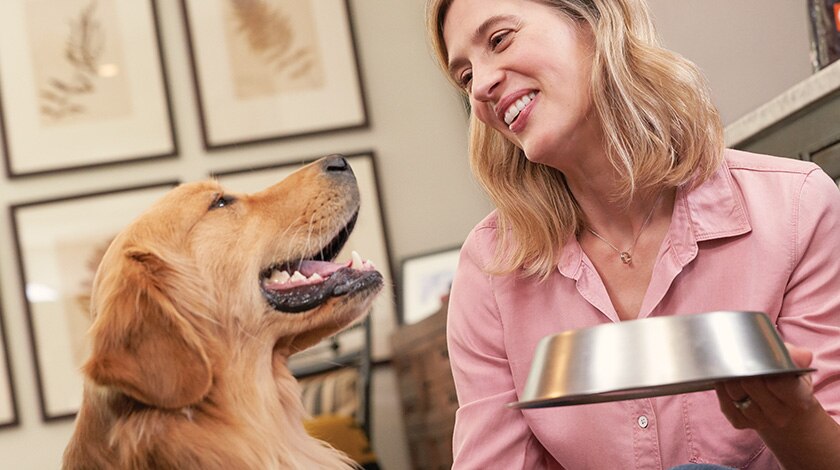 A graphic portraying Hydra Care helps cats consume 50% more liquid each day than water alone.