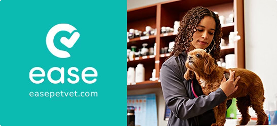 A girl kissing a dog next to the Paisley Paws logo.