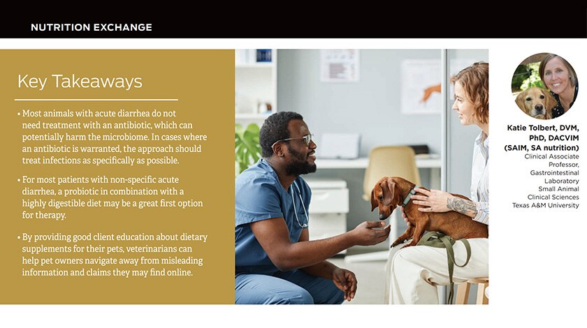 Preview of article ‘Nutrition Exchange: Acute Diarrhea’ discussing the impact of probiotics or supplements on the management of pets with acute diarrhea.