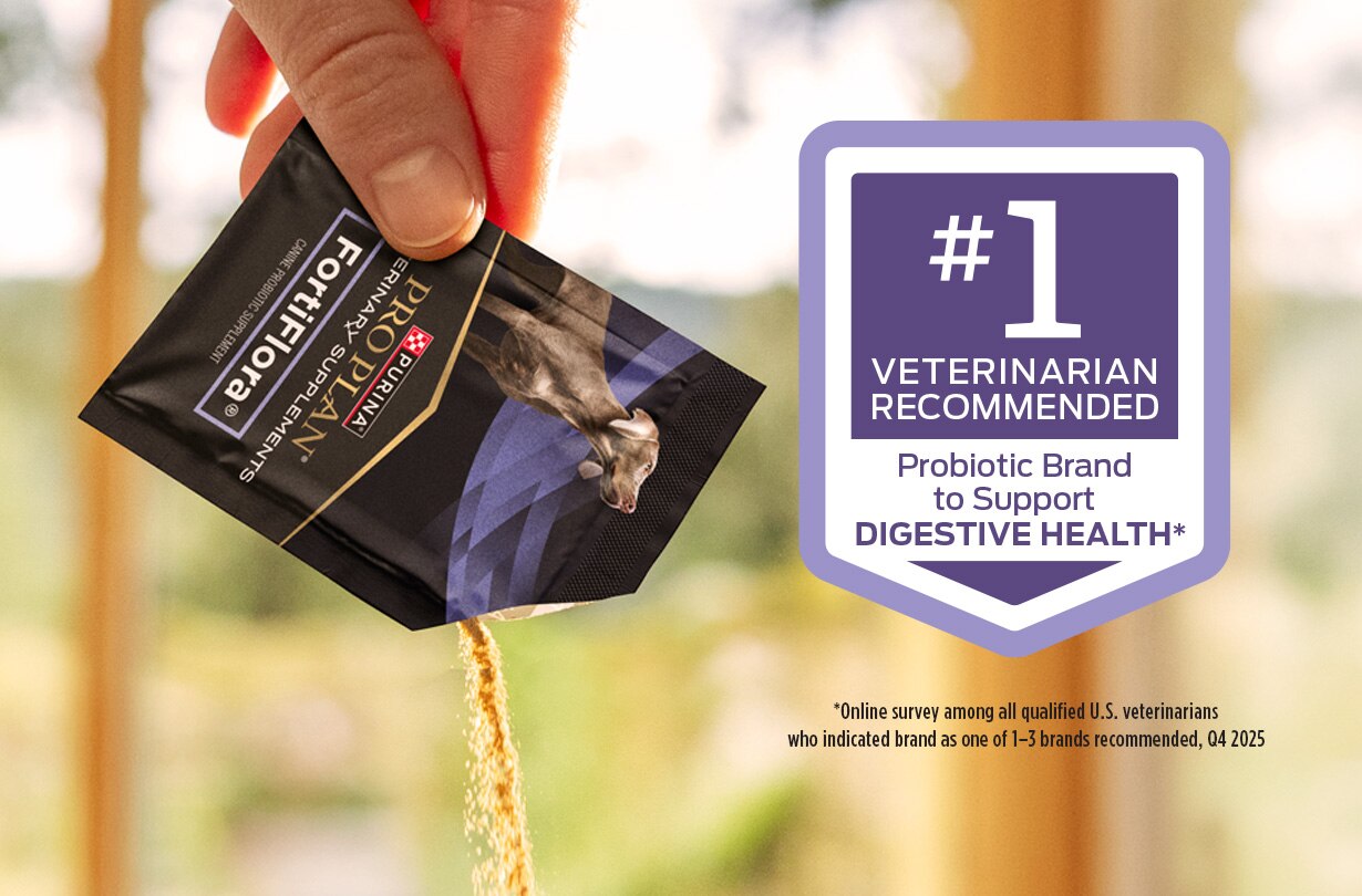 Dog beside FortiFlora supplement packaging illustrating digestive health benefits.