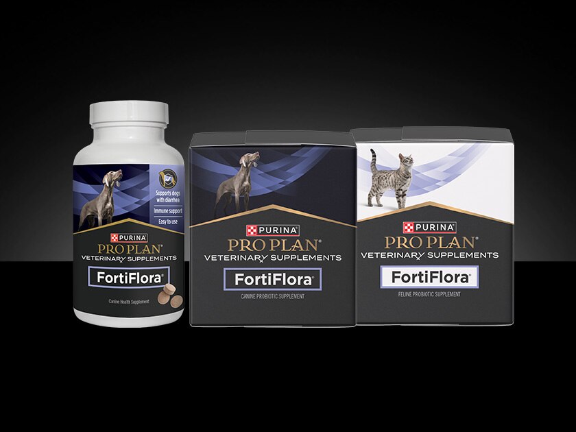 FortiFlora probiotic supplement packaging.