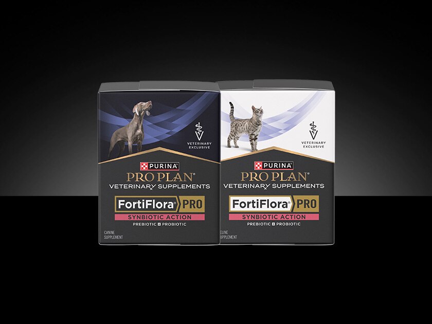 FortiFlora PRO probiotic supplement packaging.