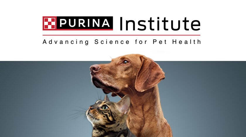 Dog featured alongside Purina Institute branding promoting microbiome forum content.