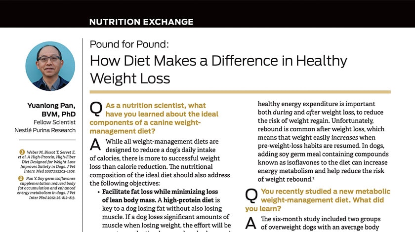 Nutrition Exchange’s How Diet Makes a Difference in Healthy Weight Loss
