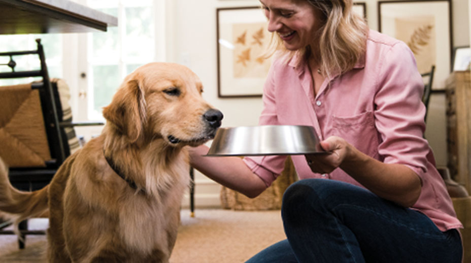 A dog owner holding a bowl to the dog’s nose.
