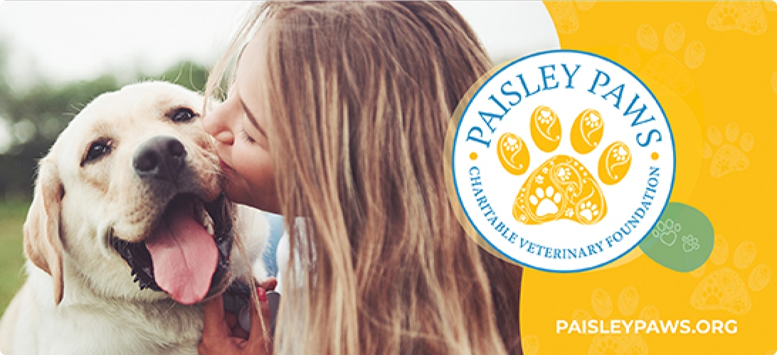 A girl kissing a dog next to the Paisley Paws logo.