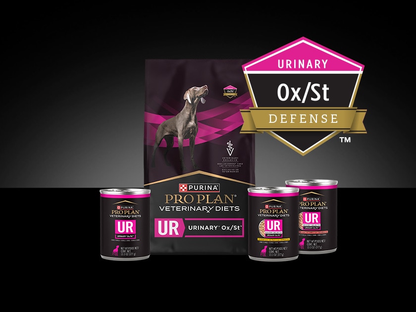 Canine Pro Plan Veterinary Diet UR Urinary® Ox/St™ package.