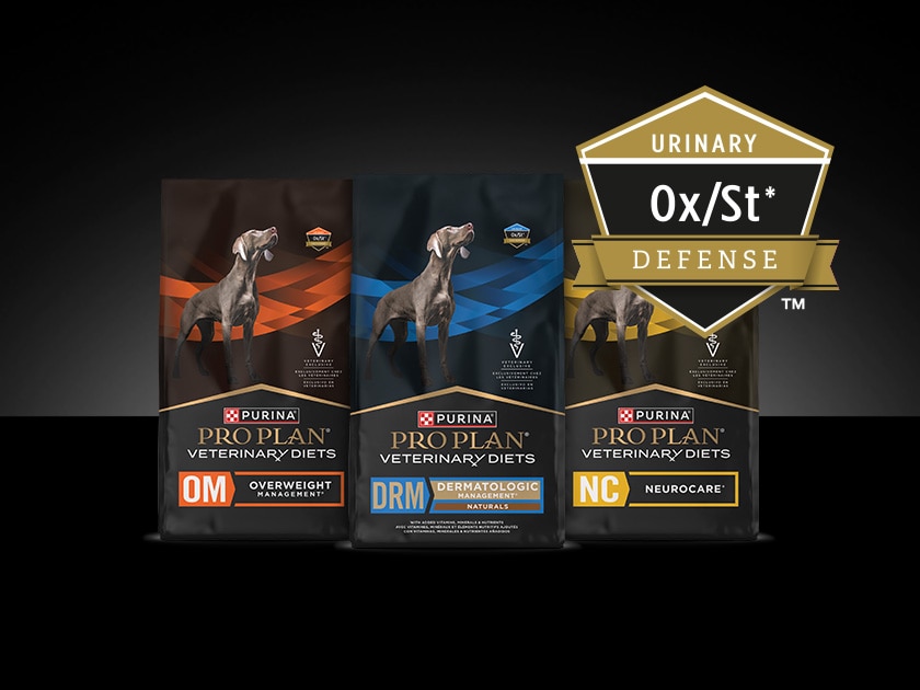 Canine Pro Plan Veterinary Diet Ox/St Defense™ package lineup.