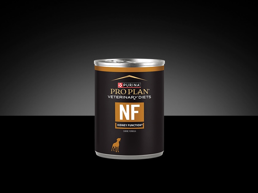 Pro Plan Veterinary Diets Kidney Function wet canine formula