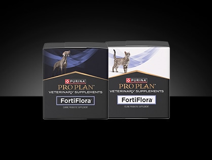 Canine and feline Pro Plan Veterinary Supplements FortiFlora® Probiotic packages. 