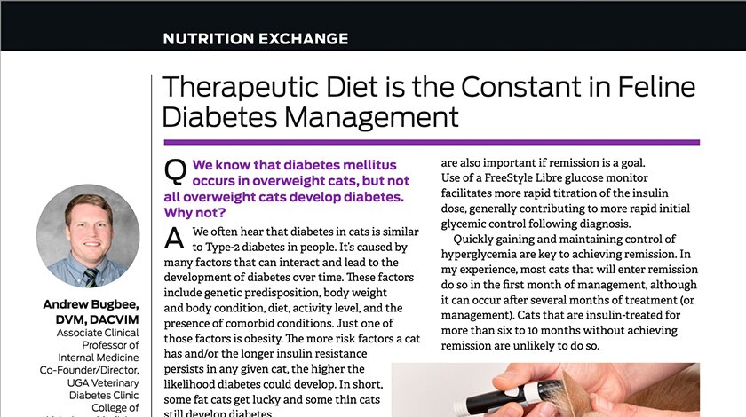 Nutrition Exchange Therapeutic Diet is the Constant in Feline Diabetes Management